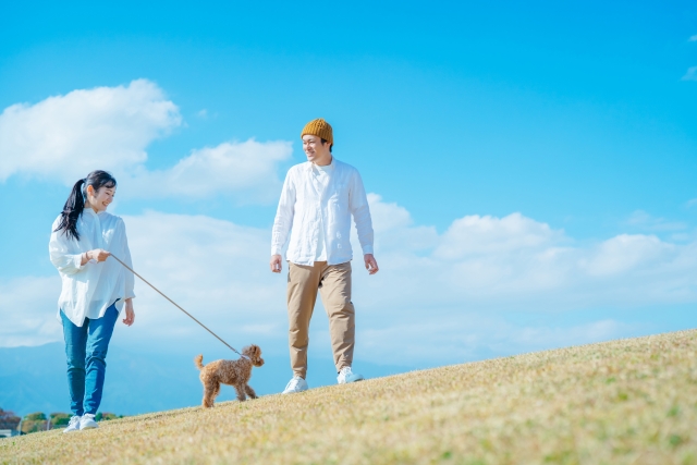 愛犬とお散歩をしながら防犯パトロール隊員募集中！