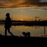 毎日が防犯パトロール! 防犯の目は人間だけでなく…