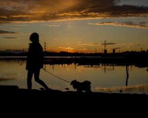 毎日が防犯パトロール! 防犯の目は人間だけでなく…