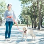 愛犬とお散歩しながら防犯パトロール隊員募集!