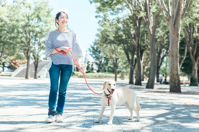 愛犬とお散歩しながら防犯パトロール隊員募集！