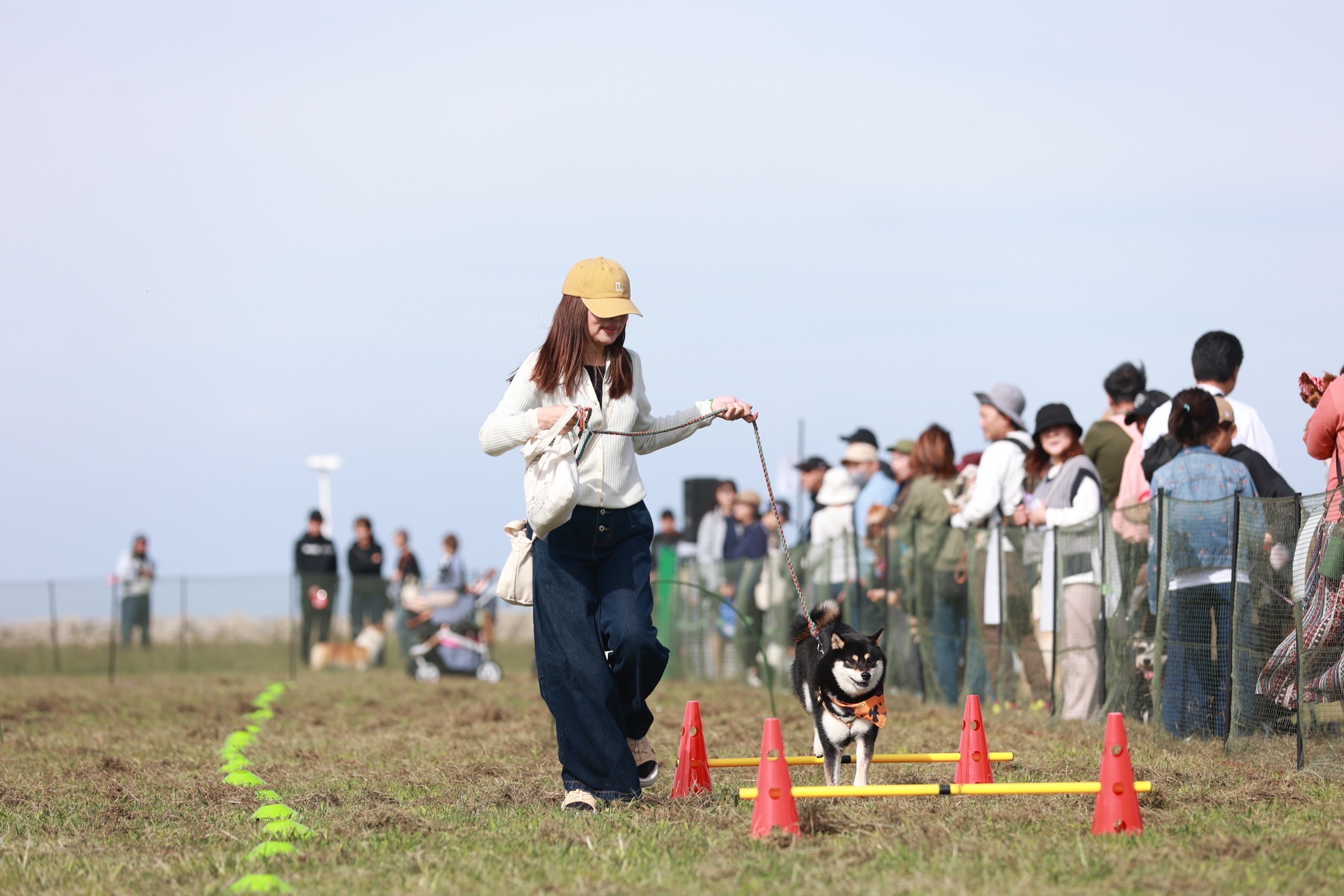 『春のわん運動会＆マルシェ』開催のお知らせ