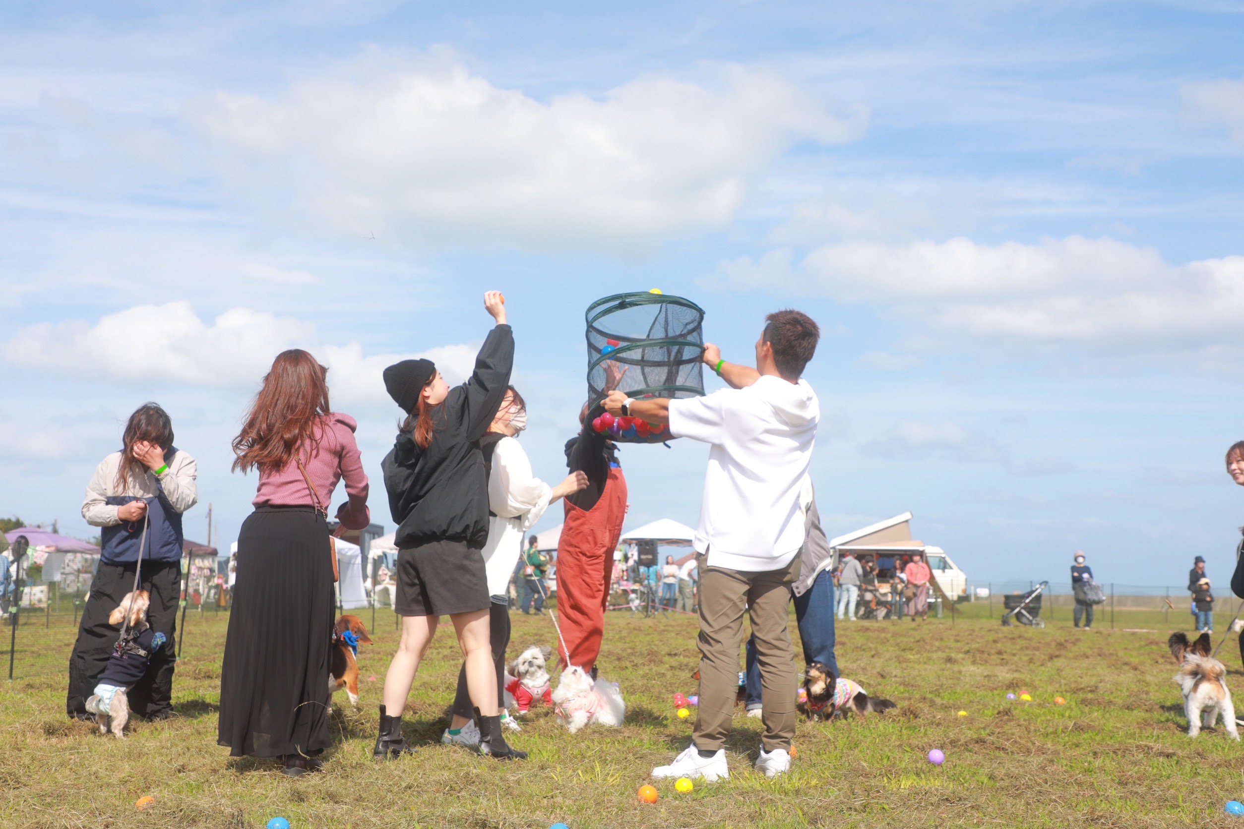 『春のわん運動会＆マルシェ』開催のお知らせ